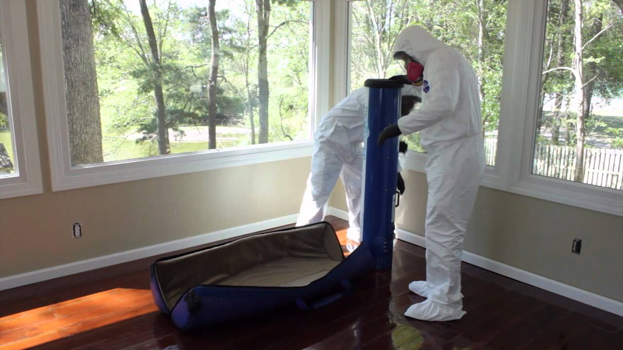 BioSweep - mold remediation specialists serving Charleston SC and surrounding areas