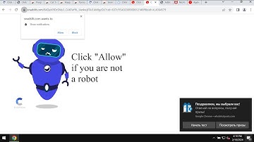 Snadsfit.com web push notifications - how to remove?
