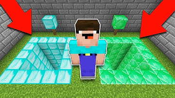 Minecraft NOOB vs PRO : WHICH PIT WILL NOOB CHOOSE? DIAMOND vs EMERALD! Challenge 100% trolling