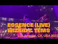Wizkid and Tems "Essence" (Live Performance) | Made In Lagos Tour | Los Angeles 2021