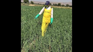 9 steps for responsible use of crop protection products