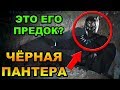 Что показал тизер-трейлер Чёрная Пантера [ОБЪЕКТ] фильм Марвел Black Panther, 2017, 2018