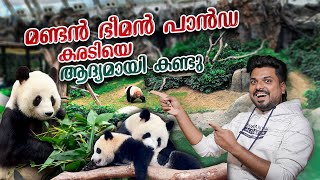 HongKong 🇭🇰 #5 - ജീവിതത്തിൽ ആദ്യമായി ഭീമൻ പാൻഡയെ കണ്ടു | Exploring Ocean Park