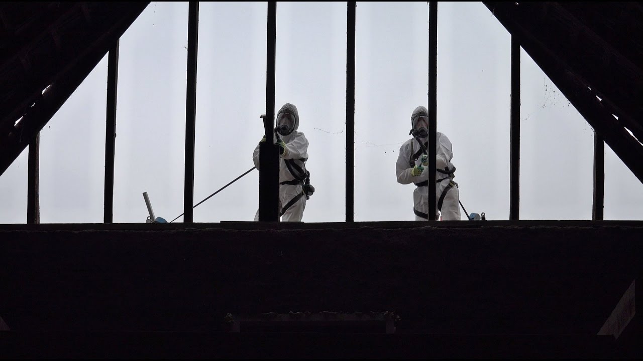 Goedenberg wk50 2016 Asbest verwijderen