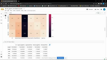 Spark Foundation decision tree model