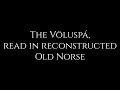 The vlusp in reconstructed old norse deep meditative reading with english translation