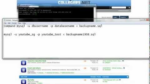 Restore MySQL using PuTTy SSH