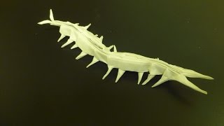 Origami Centipede Tutorial - Part I | by Robert J. Lang