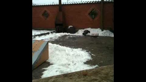 HPI Bullet MT 3.0 - Jumping