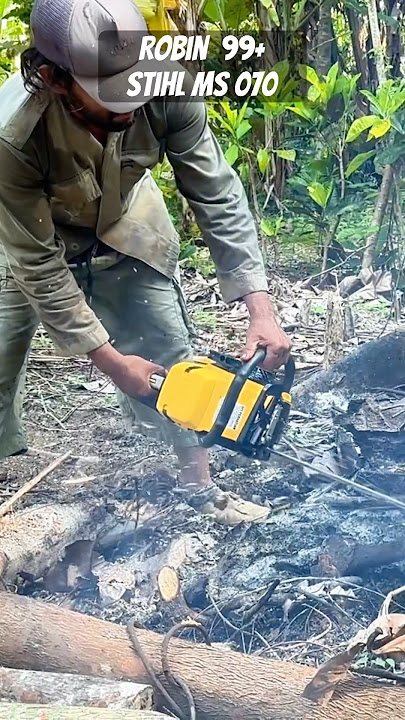 Senso/Chainsaw Robin 99 vs Stihl Ms 070