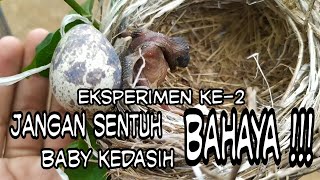 coba letakkan benda disamping baby kedasih. bahaya gaess