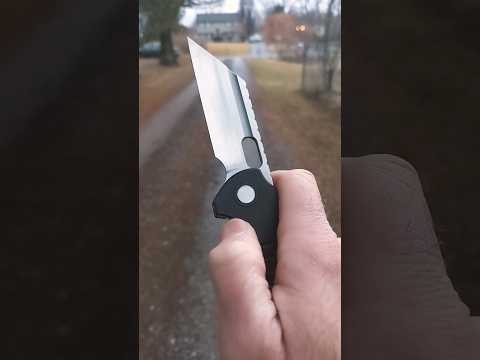 Walk n Flick - Grant Gripper