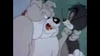 توم وجيري اليمني