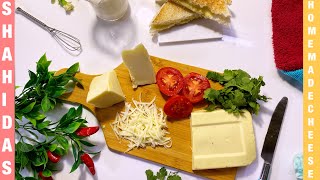 Homemade Cheese | Shahida’s Kitchen