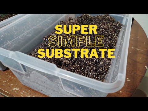 Video: Zutaten Für Substrate