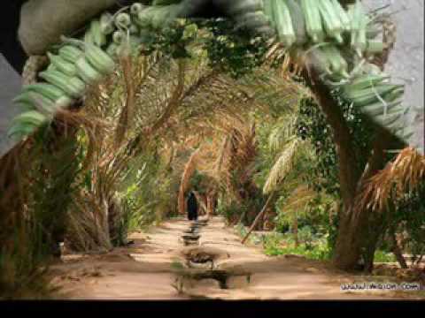 Jrafa Rissani Errachidia