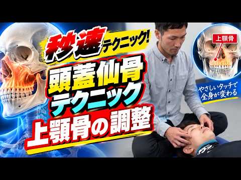 頭蓋仙骨テクニック　上顎骨の調整（頭蓋仙骨療法の治療技術動画）