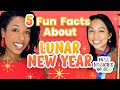 Five 5 fun facts about lunar new year  chinese new year  spring festival  miss jessicas world
