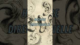 Dessiner à la hachure directionnelle : Technique pour modeler des ombres dynamiques #hachure #dessin