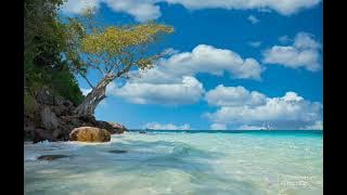 We don't talk about nothing no more- Snake City.