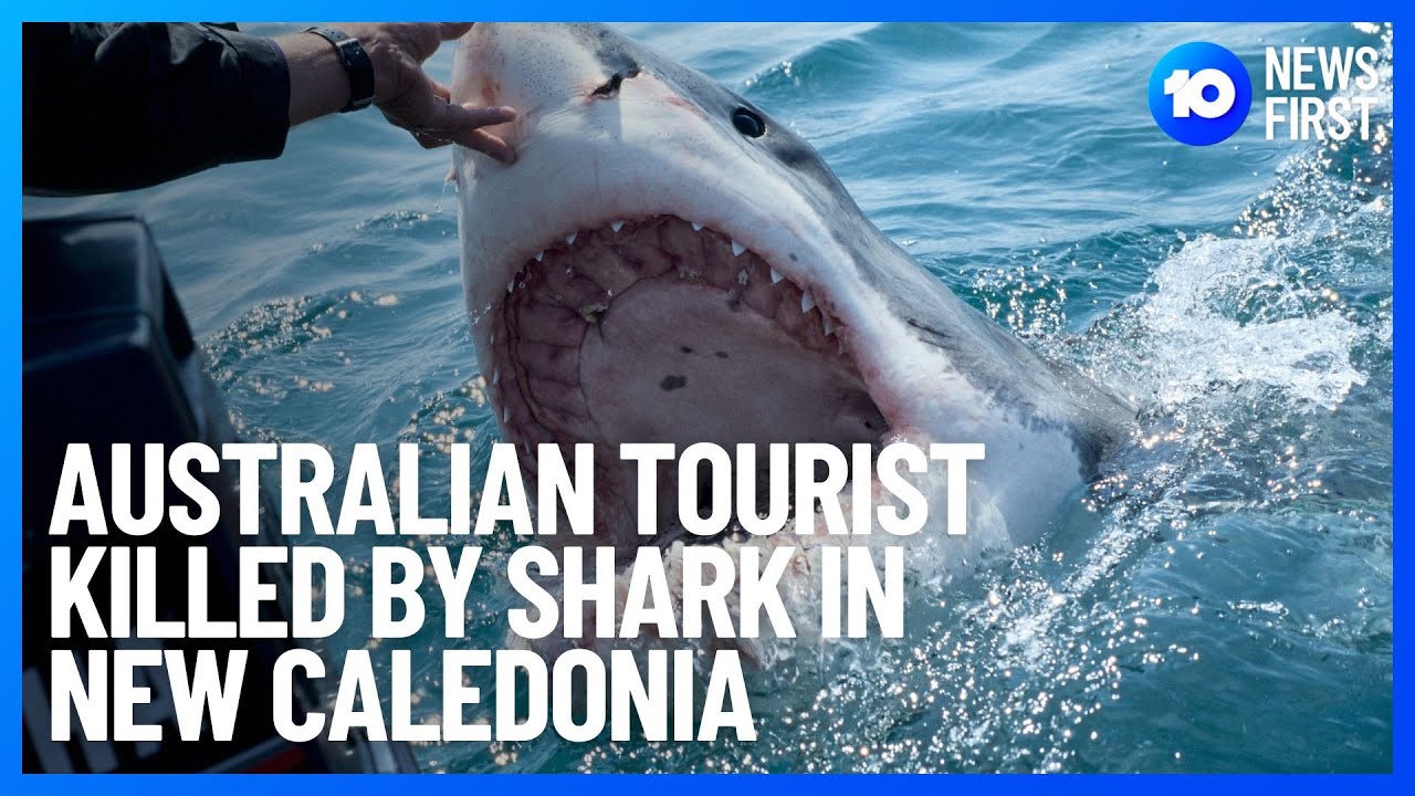 tourist killed in shark attack off new caledonia