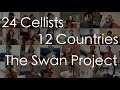 The Swan Project