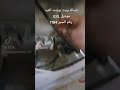 رقم سير غساله ويت بوينت العبد موديل E3L رقم سير غساله ويت بوينت العبد موديل E3L