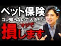 【元ペットショップ店員が暴露】ペット保険に加入する前に知っておかないと損すること3選