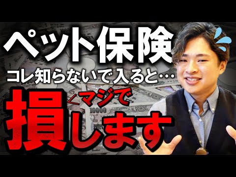 ペット保険の免責金額はいくらがいい?選び方のコツとおすすめプラン