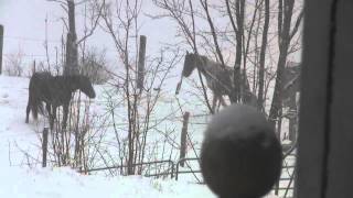 Download lagu Looking out my kitchen window