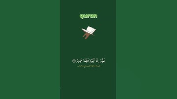 #سورة_الحاقة || من الآية 30 إلى 37 | #quran #اكسبلور #surrah #instagram #ترند #reels #reelsinstagram