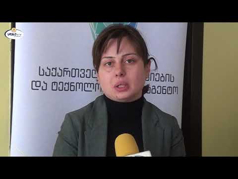 სდასუს სტუდენტების შეხვედრა თანადაფინანსების გრანტების პროგრამის ხელმძღვანელთან