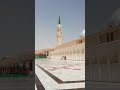 Madina Full Rington Madina Full Rington