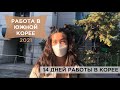 СКОЛЬКО ЗАРАБАТЫВАЮТ В КОРЕЕ | 14 дней мужской работы в Корее | Стройка в Корее