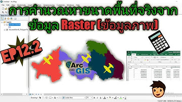 การคำนวณหาพื้นที่จริงจากข้อมูล Raster (ข้อมูลภาพ) ในโปรแกรม ArcMap ร่วมกับโปรแกรม Excel