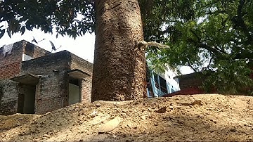 Xiomi Redmi note 4 slow motion camera test