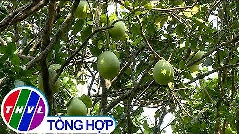 Thị xã Bình Minh chung sức xây dựng nông thôn mới