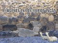 Imágenes en los muros Incas del Qosqo Ayllu en Ollantaytambo, Cusco, Perú.