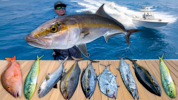 CAUGHT Every Deep Sea Fish... Catch Clean Cook (Amberjack)