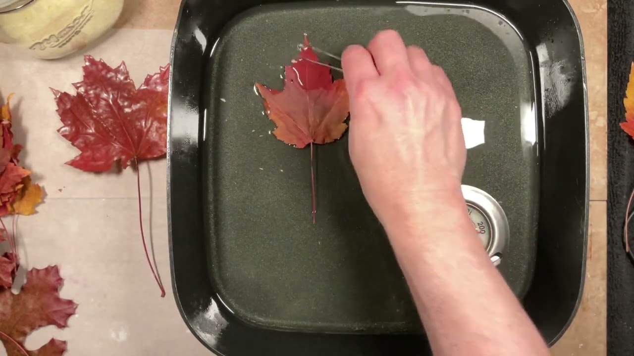 Encaustic Leaf Dipping for Decorations & Intro into Encaustic Medium