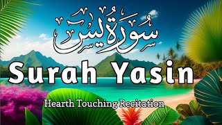 Emtional Recitation Of Surah Yaseen (Yasin) | Surah Yaseen beautiful Quran Tilawat