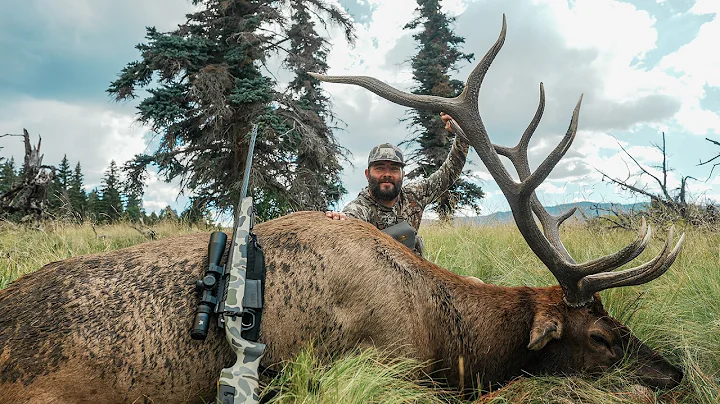 THE GREATEST ELK HUNT OF MY LIFE | HUSH 4K HUNT FILM |