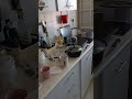 29 апреля 2025 г.