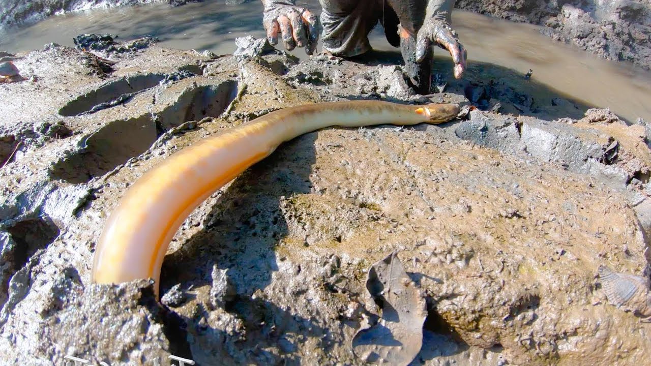 BẮT ĐƯỢC CẶP 