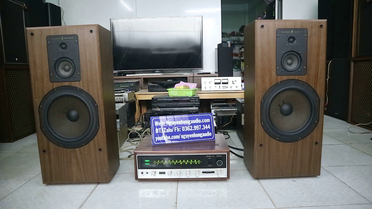 Đôi loa Mỹ AR 58bxi phiên bản cực kì hiếm,bass 30cm,chất âm phê như con ...