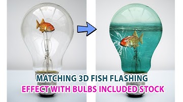 How to Create 3D Fish Effect in photoshop | Sadesign
