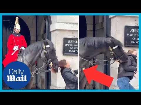 King's Guard horse bites TWO women's ponytails when they get too close