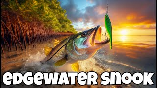 Kayak fishing for Snook in Mosquito Lagoon