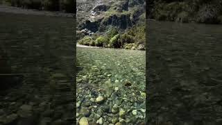 рыбалка форель #fishing #mauntains #reels
