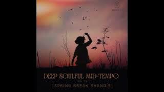 Deep Soulful Mid Tempo Vol 23 Mixed By Dj Luk-C S.A (Spring Break Shandis)